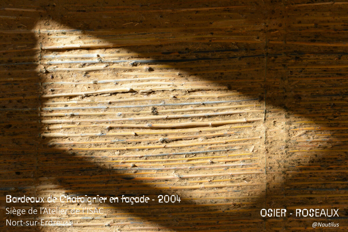 murs-intérieur-terre-et-roseaux---Bouguenais,-atelier-Belenfant-Daubas,-architectes